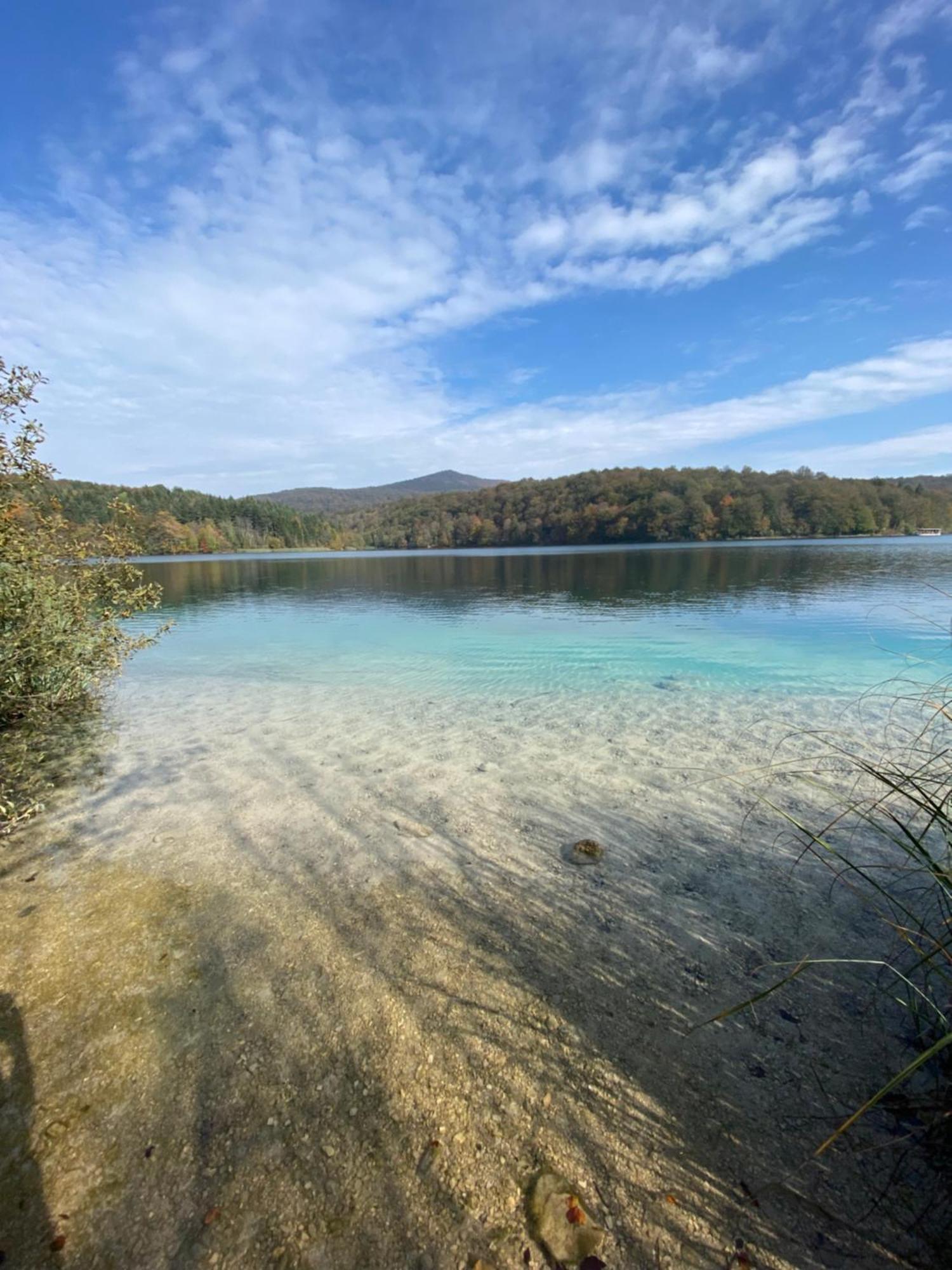 B&B Plitvice Area Natura Seliste Dreznicko Exteriör bild